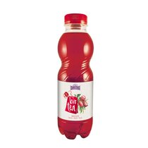 Holderhof Tea Pfirsich  Bio 12-PET 50 cl. 